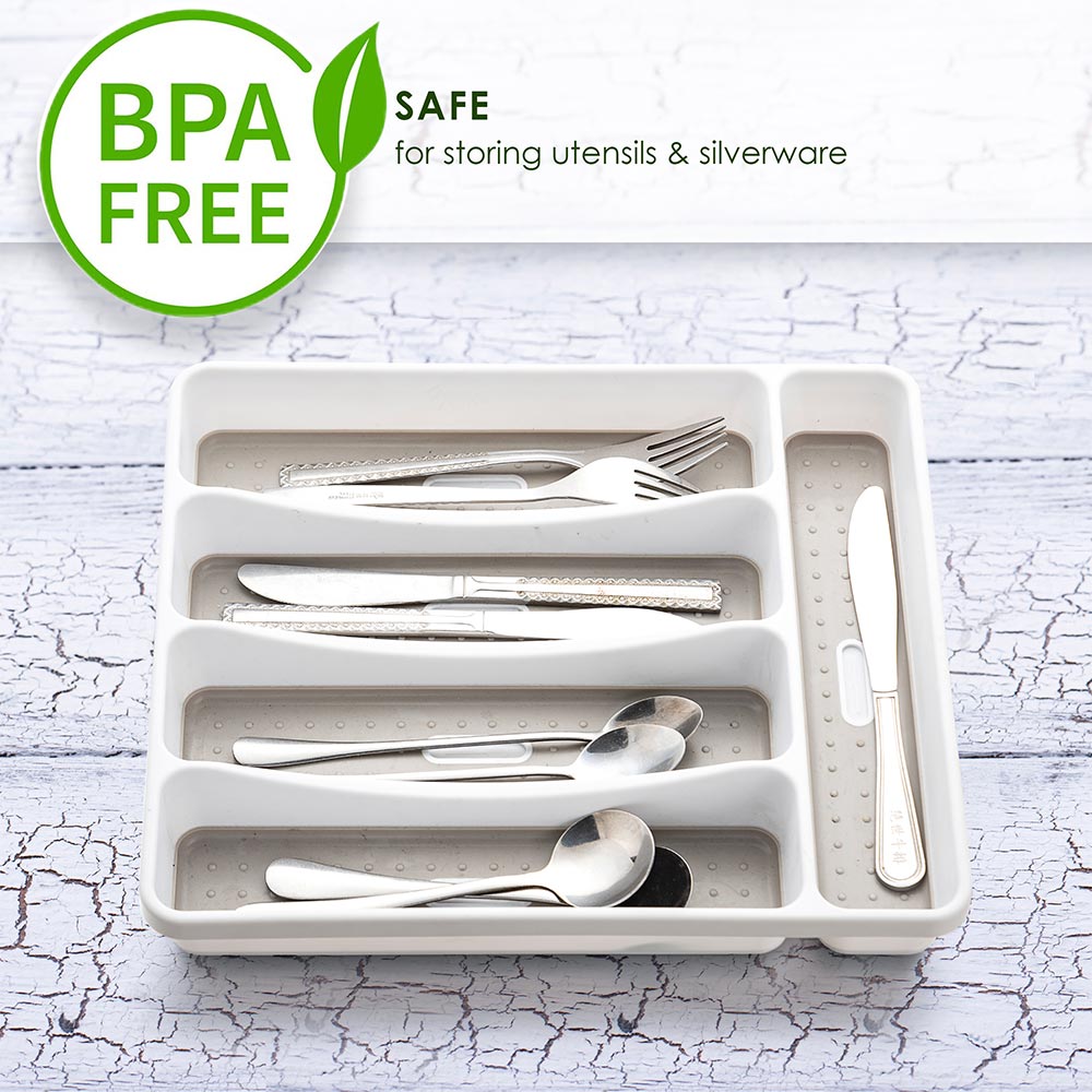 bpa_free-5_compartmet_tray