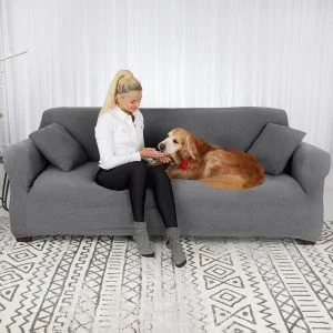 lady with dog dark grey 1