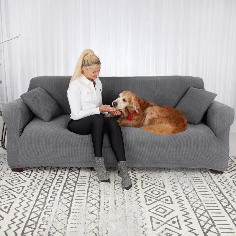 lady with dog dark grey 1