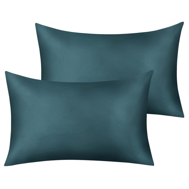 two pillows teal 4