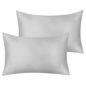 Two pillowcases silver grey